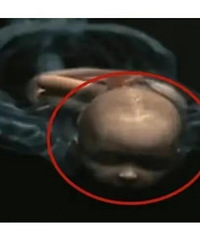 Ů�������ӣ����ǹ��Ź�����һ��