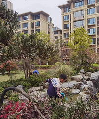 �������Ʒ����Σ���������ɶ��ˮƽ