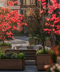 ���������¹�԰���Ž����ˣ����1���ͷ��ȫ�³�