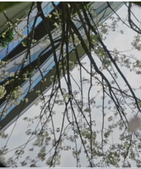 �����ڼ�����ҵ���ǣ���������Ų��ţ�