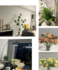 �����û�лؼ�ס��������������Сʱ�����