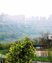 �����ĸ���Ŀ�����꣺���