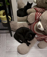 两人一猫,打造一个奶油轻侘寂风的小家