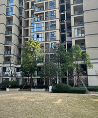 被多多说无实际参考价值的绿地新里樱园115万刚需房