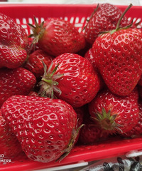 �̼Ҹϳ���Щֵ�ø�������β����Ե��������ŵı���Ʒ