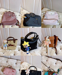 ����ľ�ͷ������longchamp���������ҵ�9ֻ������