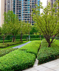 �ھ���ܰԷ��ҵ����