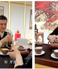 李亚鹏和杨子,天造地设的一对