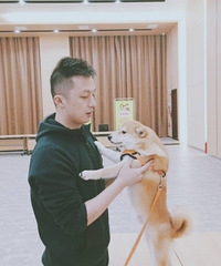 93176CMشоС飬Ŀǰй