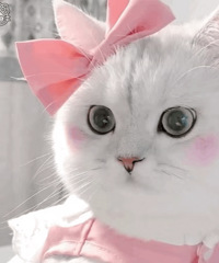 ������ֵ���������մ�ţ��32��94���˶�ˬ����T��2��39