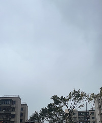 �²����Ͻֲ²������