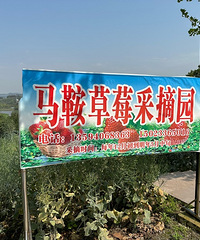 30ȵ¶ȴժݮ35Ԫ/ζе