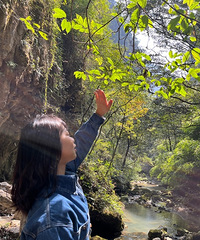 95�����������ʦ�������飬ϣ���Է���90��