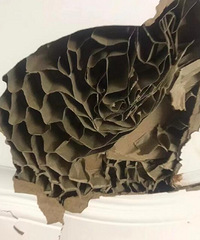 几百块钱买的门,里头竟然是这个样子的