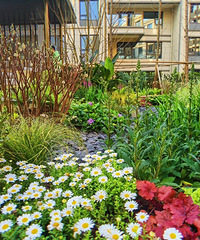 ��л���������н��Ļ��ᣬ�������ˣ�����۪��С����ɫ