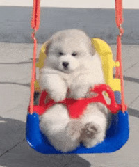 ������ֵ���򡿱���ĿϷ̫����68������ׯ�����10��29