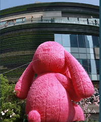 ������ӣ����������о��ͷ�ɫë����LAZY��