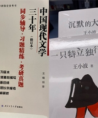 高中生的课外书分享,都是娃自己买的
