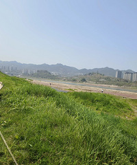 推荐一个亲子野炊露营地,在大竹林的金海湾
