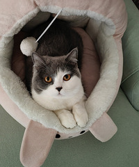 91��158CM������С������飬ϣ���Է���������Т˳