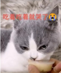 �и���Ĳ�����è���𣿣����γ�Ҳ����Ԥ���İɣ���