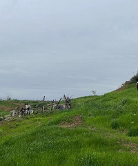 89��158CM���������С������飬ϣ���Է�92~85��