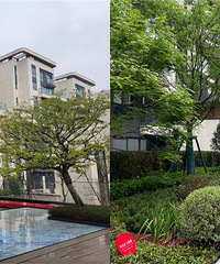 ����������׷����Ȼ��ʱ�����ˣ����ֳ�Ʒ�ʴ�