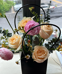 ˫̥�������������ľ�Ҫ�ؼ��ˣ���ɩ��ĺø���