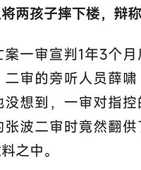 重庆姐弟坠亡案两被告翻供