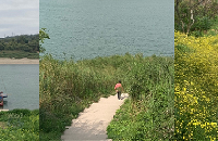 ޡԼմʤأͽ·߾ˣ¶