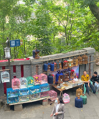 ����60����ֱ�����׽ǵ�ʢ���Իͣ���������������Ĵ�ү����