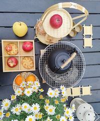 ɹɹҵ¶̨԰ʻΧ¯̫