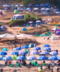 ����������������������鴫�����ö����¶Ӫ����Ⱥ