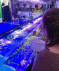 仨УȥѵĶž飬ʳһóʵ