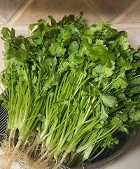 ���ͨ��Сϸ�ڸı���ò�������Ƹ�����Ů����get����