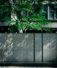 ������Ƶ��������-����ƽ�