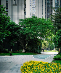 ������Ƶ��������-����ƽ�