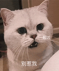 明明都在玩手机,为什么就是有人不近视呀!让人羡慕嫉妒恨