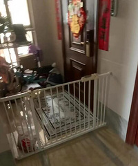 摊上这样的邻居怎么办?简直想搬家了