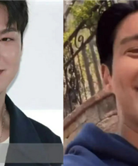 韩式酵母,一个也没放过
