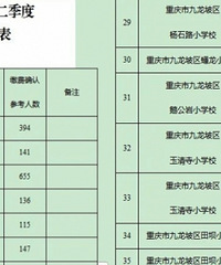 九龙坡2023年学校公开招聘报名统计,竞争激烈