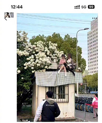 女生为拍网红照爬到核酸屋顶