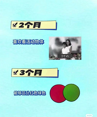 新生儿几个月可认出亲人?别太心急儿童发展看这里