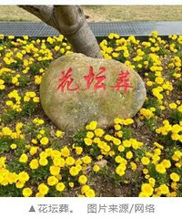 海葬、树葬、壁葬,你接受回归自然吗