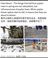美媒报道辽宁天降“毛毛虫雨”