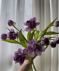 ����������˻�����ʳ�����������Ҽҹ��ӣ�ż��Ҳ�ᱻ��ȥ����