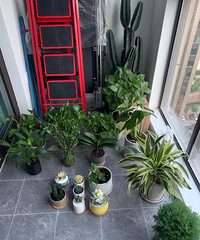 Ŵ3ѧ԰ֵôɹһɹҵĻ