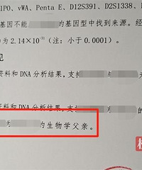 试管生的女儿与丈夫无血缘,医院回应