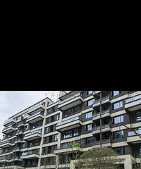 ��Բʺ��ƭZ���ڿ����գ�Ҫ�ӷ��ˣ�û���ڣ�