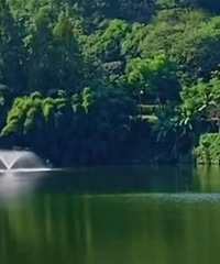 ����Ĳ��ƺ�ʪ�ع�԰��������